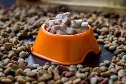 Today's pet parents frequently switch between wet and dry food, and biotics can help ease the gastrointestinal stress that may result from the change.