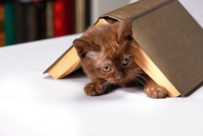 AAFCO is concerned the PURR Act of 2025, as it is currently presented, could negatively impact consumer protection, reduce transparency in pet food labeling and jeopardize the safety of pet food products.
