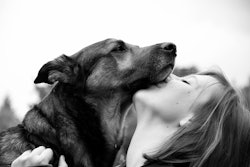 Mars said it will undertake the world’s largest international study program into the human-animal bond and the role of cats and dogs in human mental health and wellbeing.