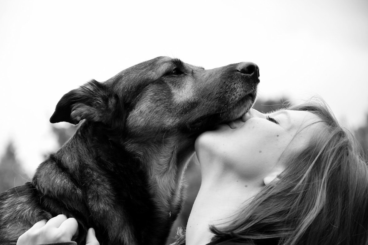 Mars initiates global study on pets’ impact on human wellbeing