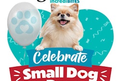 E1c31738 A535 4851 B7e7 31054d26afe8