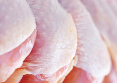 Raw Chicken Drumsticks 2