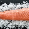 HBC is said to be a leading manufacturer of human grade, sustainable marine proteins, collagens and oils from Norwegian Atlantic salmon.