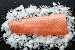 HBC is said to be a leading manufacturer of human grade, sustainable marine proteins, collagens and oils from Norwegian Atlantic salmon.