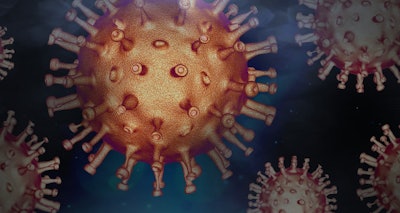 According to the ODA state veterinarian, most of the cats in the Portland area infected with avian influenza had eaten raw pet food.