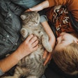 Cats have gained ground in the pet ownership arena during the last several years — even before the COVID-19 pandemic changed the landscape.