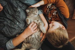 Cats have gained ground in the pet ownership arena during the last several years — even before the COVID-19 pandemic changed the landscape.