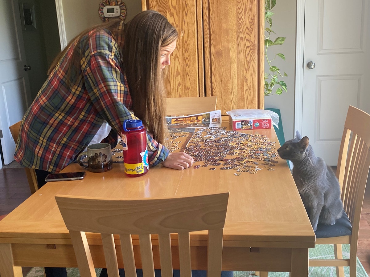 What pets mean to us: Reminders from COVID-19 shutdowns