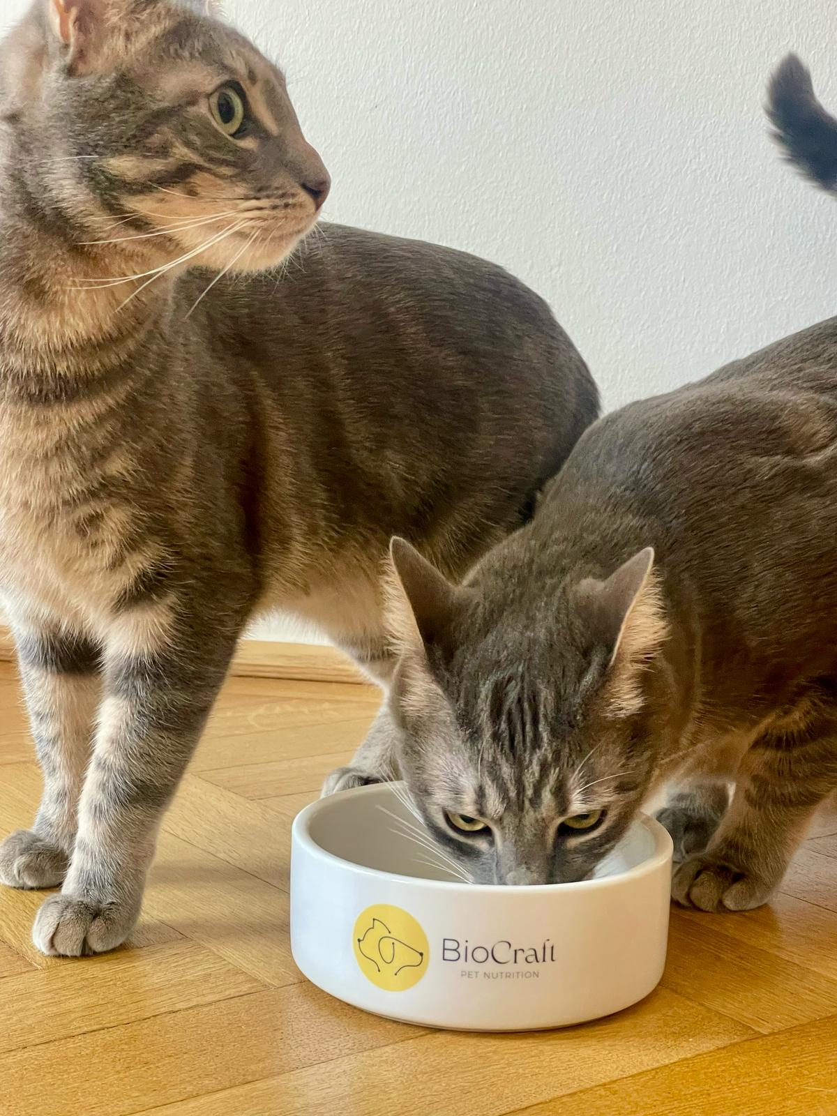 BioCraft has received registration from the Austrian authorities to use Category 3 Animal Byproducts (ABP) in the European Union, enabling it to begin selling ingredients to EU pet food producers.