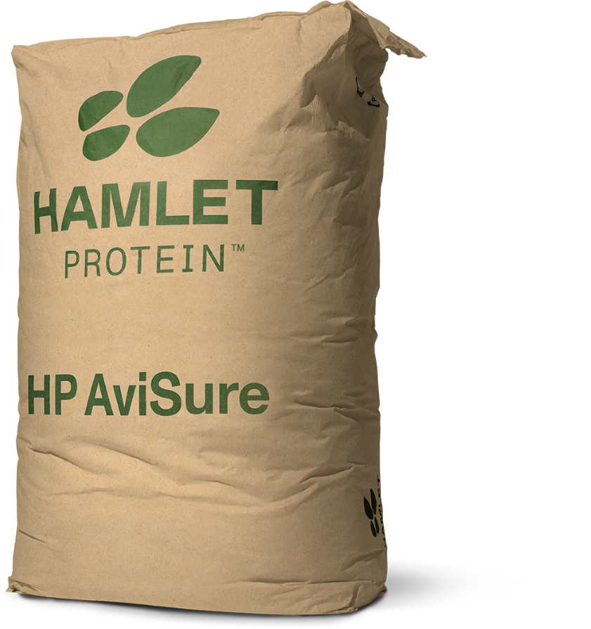 Hp20 Avi Sure 63168546639b74