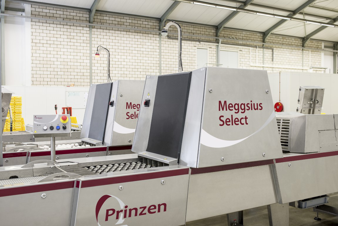 Meggsius20 Select20281292028 Gemiddeld29 62fa428e02b350