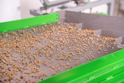 The company’s business model relies on a network of modular, AI-driven mini-factories, with the first of many already under construction.