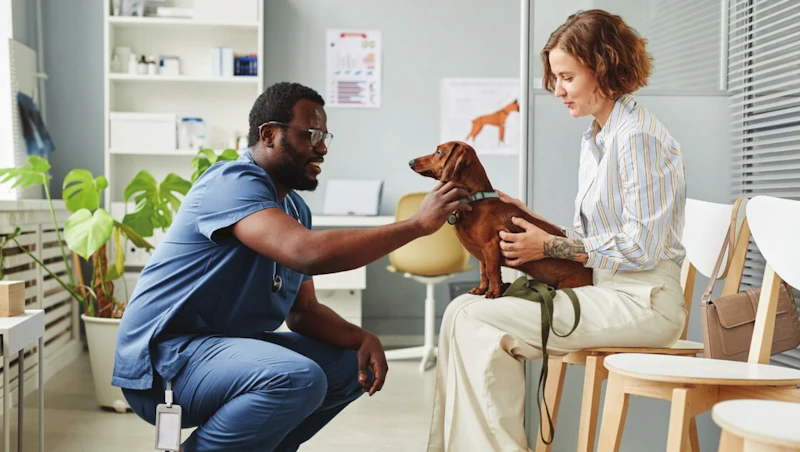 Vea Pets AI-powered vet assistant VEA wins 2025 Purina Pet Care Innovation Prize ...