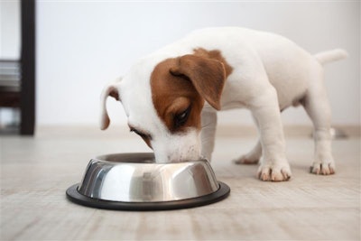 ADM has officially opened its first wet pet food manufacturing plant in Mexico.