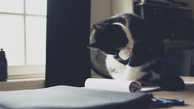 The company said this latest achievement underscores Mars UK’s ongoing commitment to fostering a truly inclusive, flexible, and pet-friendly work environment.
