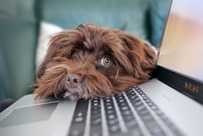 Pet Food Collab, formerly KibbleCon, will continue to foster a learning and collaborative environment.