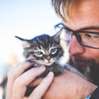 The most significant growth in cat ownership was among Gen Z and Millennial men.