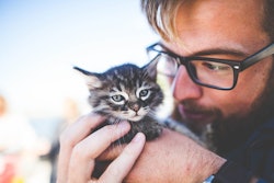 The most significant growth in cat ownership was among Gen Z and Millennial men.