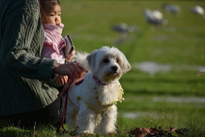 Research has shown a connection between the health of pet parents and the health of their pets.