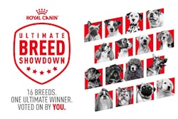 Ultimate Breed Showdown Royal Canin