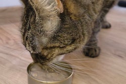 Prefera’s products, including the new mousse, will primarily be available in European markets.