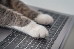 AI is set to transform pet food manufacturing, with early adopters gaining a significant efficiency edge.