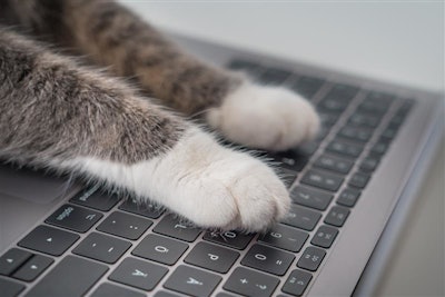 AI is set to transform pet food manufacturing, with early adopters gaining a significant efficiency edge.