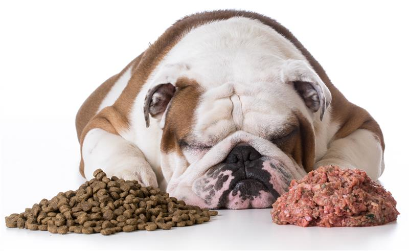Today's pet food consumers increasingly prefer organic ingredients that have undergone minimal processing.