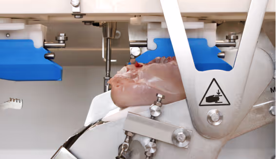 66b23a18811700fe13a754a0 61e56f3ffd556c6934d2273a Screenshot202021 07 0820at2015 49201 634a207075e068