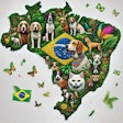 Dall·e 2024 09 20 14 18 09 A Detailed Map Of Brazil Made From A Mosaic Of Images Of Cats The Mosaic Should Be Vibrant And Colorful, Evoking The Spirit Of Carnivale, With Elemen