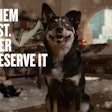 The campaign coincides with a major growth phase for The Honest Kitchen, which has recently expanded into PetSmart stores across the U.S. and Canada.