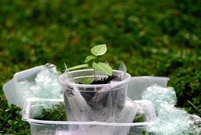 This initiative reflects Ollie’s ongoing dedication to sustainability and environmental impact.