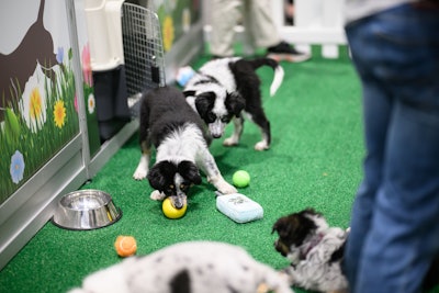 Petfood Tues 487