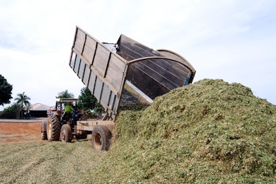 Silage On Ground