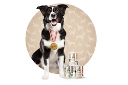 Poland’s pet food maker Bemo specializes in homeostatic dog food and is planning to add wet and dry cat food to the firm’s product portfolio.