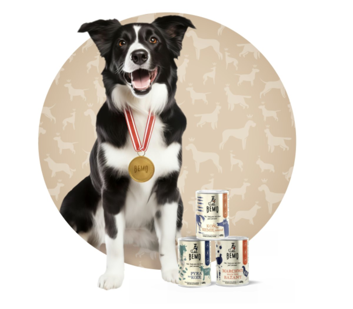 Poland’s Bemo to expand into cat food, boost export reach