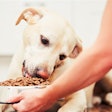 Survey data shows dog parents (70%) are more willing than cat owners to try novel proteins.