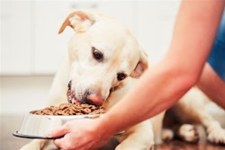 When surveyed, 84% of owners said they'd change their dog's food if they knew it would help them live longer.