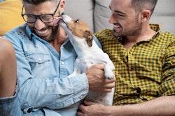 Pet ownership is rising as birth rates fall, reflecting a cultural shift in family priorities.
