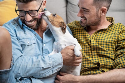Pet ownership is rising as birth rates fall, reflecting a cultural shift in family priorities.