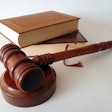 According to the lawsuit, the PEDIGREE kibble variety contains vitamin D at levels almost five times the maximum amount permitted by the Association of American Feed Control Officials (AAFCO).
