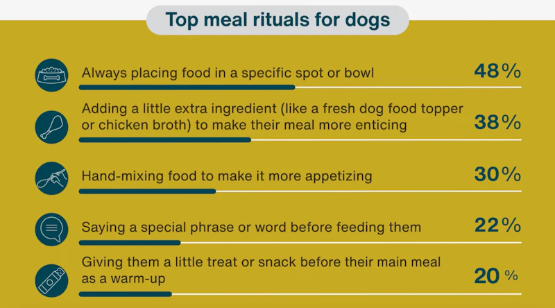 Mealtime Ritual Survey: Nearly half of U.S. dog owners say their pets have mealtime ...