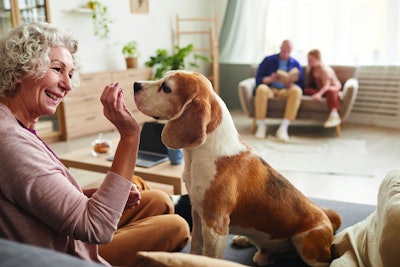 Pet Owner Generations