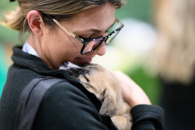 For the second year in a row, Petfood Forum featured puppies up for adoption from Polk County Humane Society in Missouri.