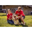 Purina employees logged 5,000-plus volunteer hours during its annual service day.