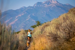 Wellness Pet Mental Health Awareness Month