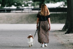 Pet owners increasingly view nutrition as the foundation of their animals' health, setting the stage for a growing market of wellness-related pet products.