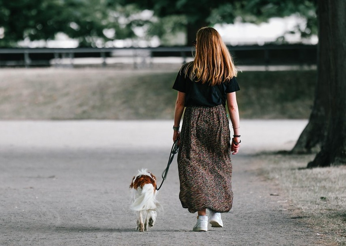 Report: Pet wellness market driven by personalization, science-backed nutrition in 2025