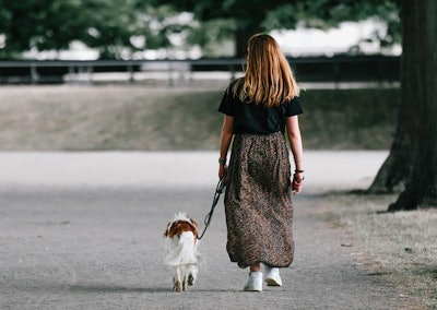 Pet owners increasingly view nutrition as the foundation of their animals' health, setting the stage for a growing market of wellness-related pet products.