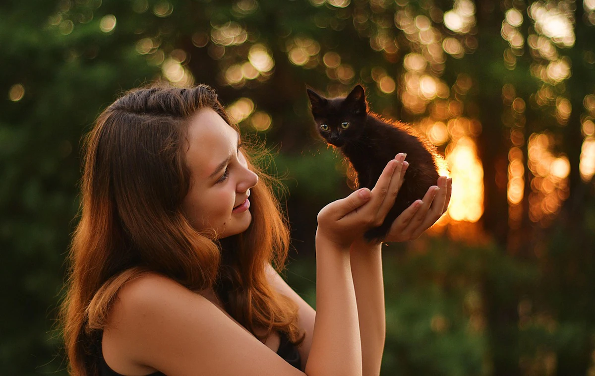 Report: U.S. pet food inflation slows, but veterinary costs keep rising Report: U.S. pet food inflation slows, but veterinary costs keep rising